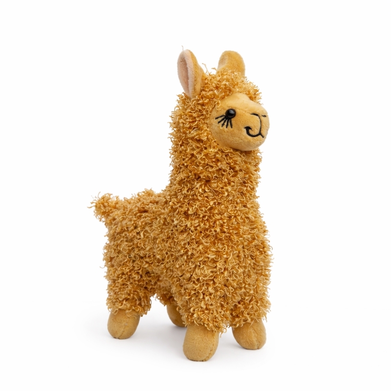 Alpaca Ollie