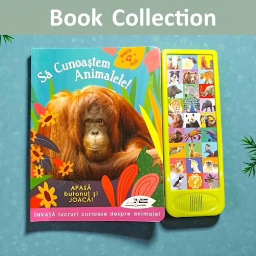 Biblion Collection